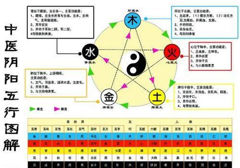 金生水|五行中为什么是金生水？